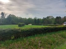 Działka rolna Gostyniec. Zdjęcie 3