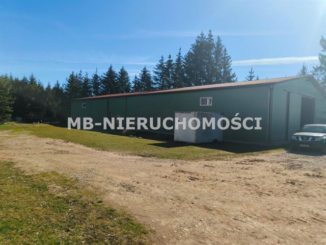 Działka rolna Parcz. Zdjęcie 5