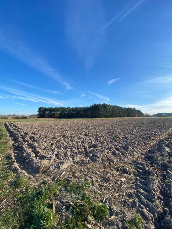 Działka budowlana Długie. Zdjęcie 2