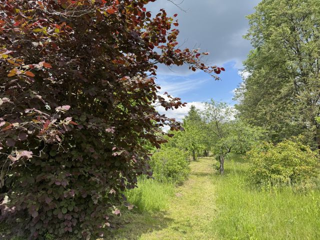 dom wolnostojący, 6 pokoi Jeżowe, Jezowe. Zdjęcie 12