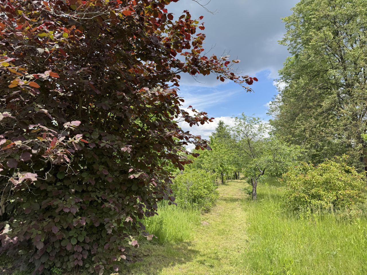 dom wolnostojący, 6 pokoi Jeżowe. Zdjęcie 13