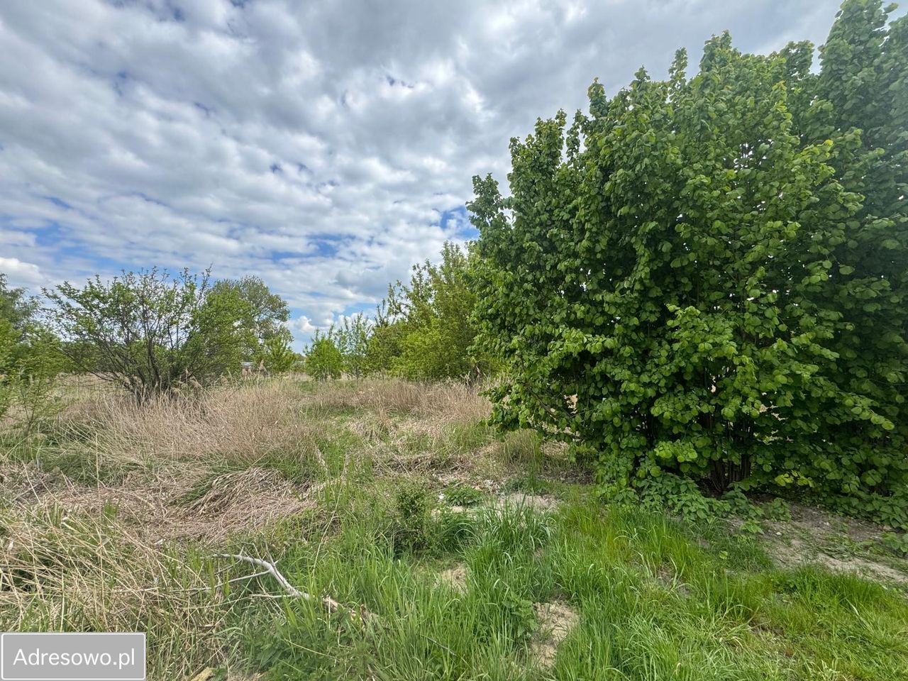 Działka siedliskowa Konstantynów Łódzki. Zdjęcie 10