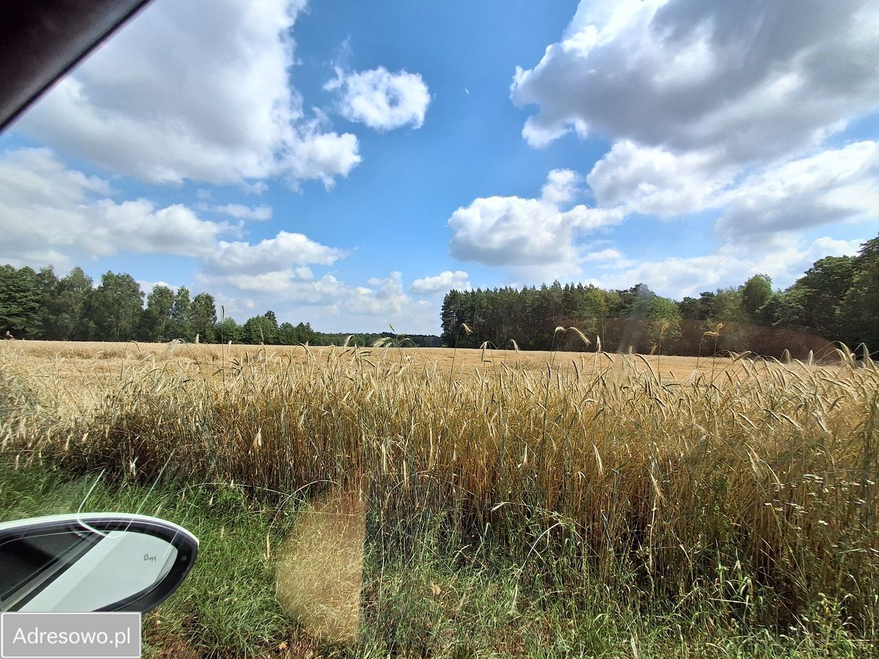 Działka rolna Bujenka