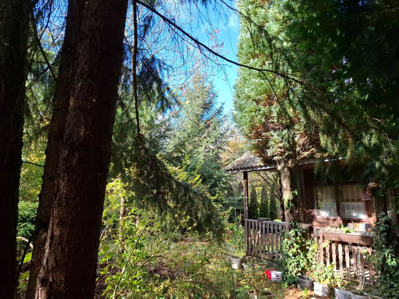 Działka rod Warszawa Mokotów