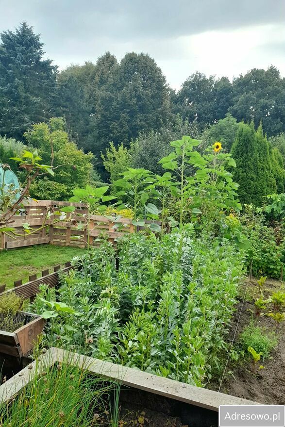 Działka rod Poznań, ul. Wrzesińska. Zdjęcie 2