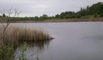 Działka rolno-budowlana Grom