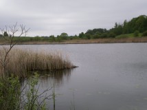 Działka rolna Grom. Zdjęcie 1