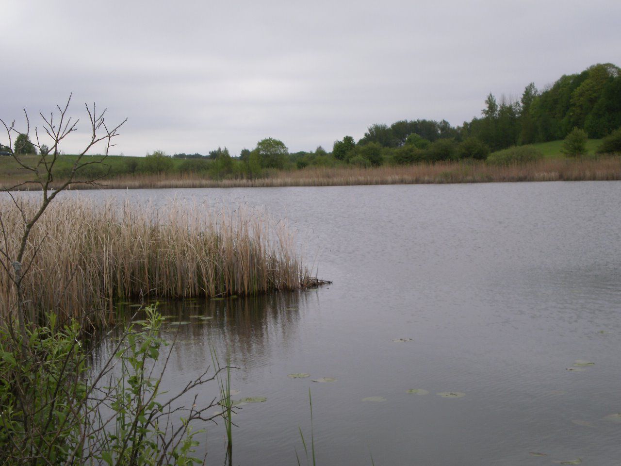 Działka rolna Grom. Zdjęcie 2