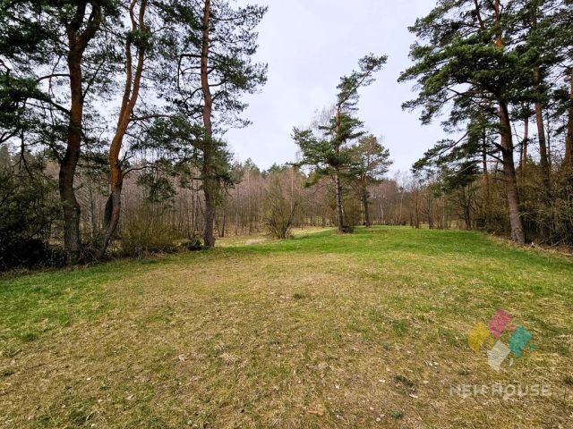 Działka rolna Prawdowo. Zdjęcie 5