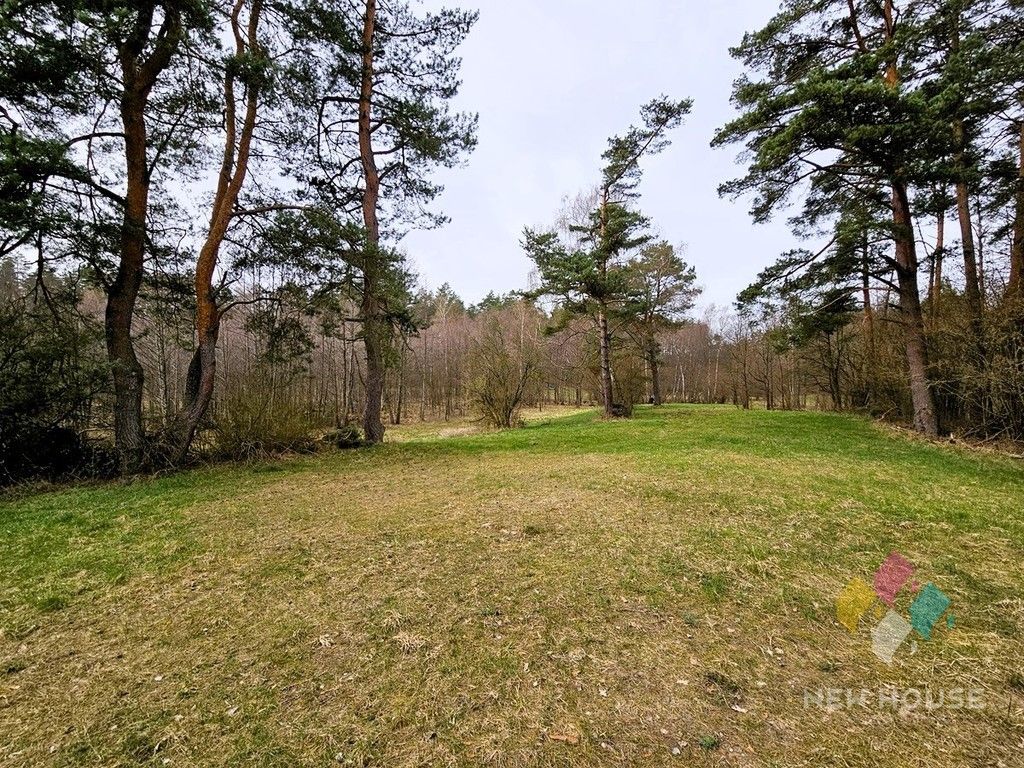 Działka rolna Prawdowo. Zdjęcie 5