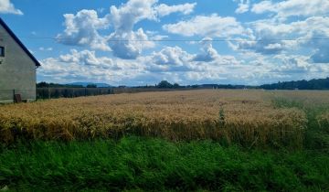 Działka budowlana Pruchna, ul. Kopanina