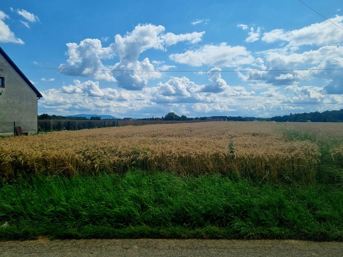 Działka budowlana Pruchna, ul. Kopanina. Zdjęcie 2