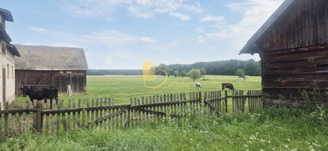 siedlisko, 4 pokoje Małyszczyn. Zdjęcie 5