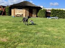 dom wolnostojący, 9 pokoi Mielenko, ul. Letnia. Zdjęcie 2