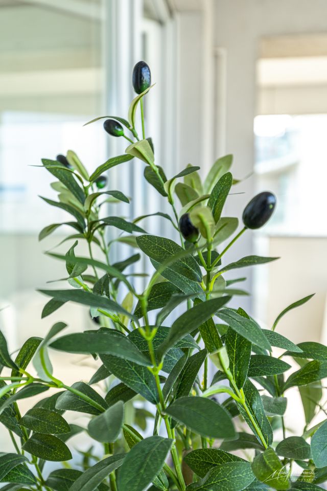 Mieszkanie 3-pokojowe Poznań Chartowo, ul. Inflancka. Zdjęcie 24