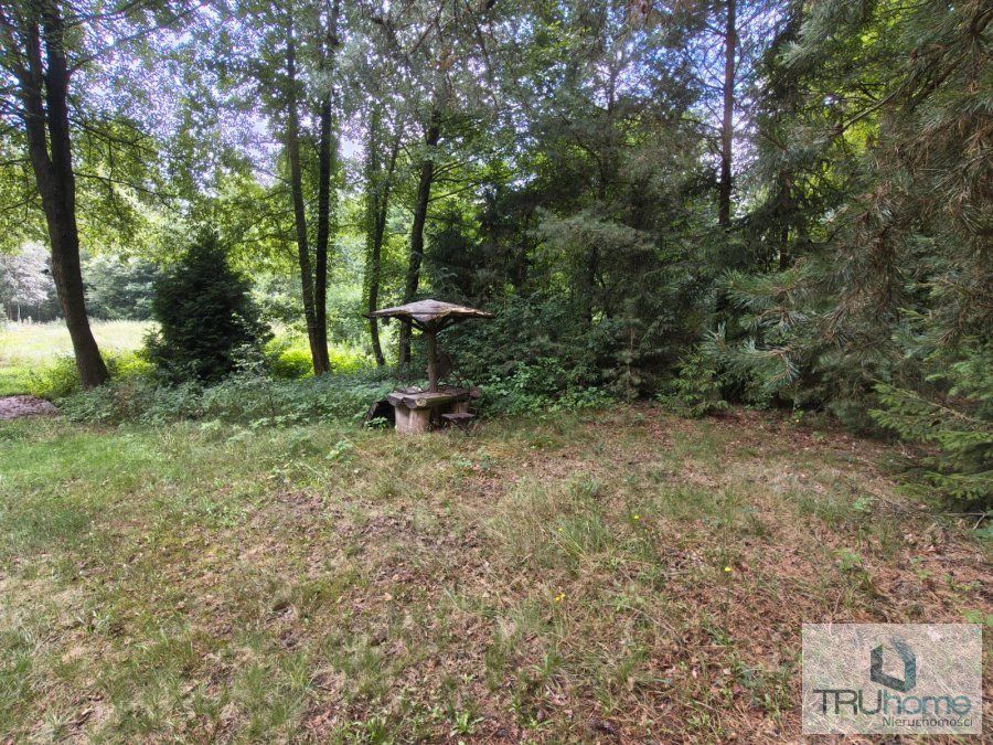 Działka rolno-budowlana Hutka. Zdjęcie 5