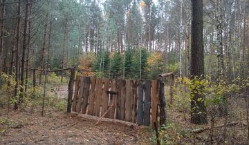 Działka leśna Jankowo-Młodzianowo