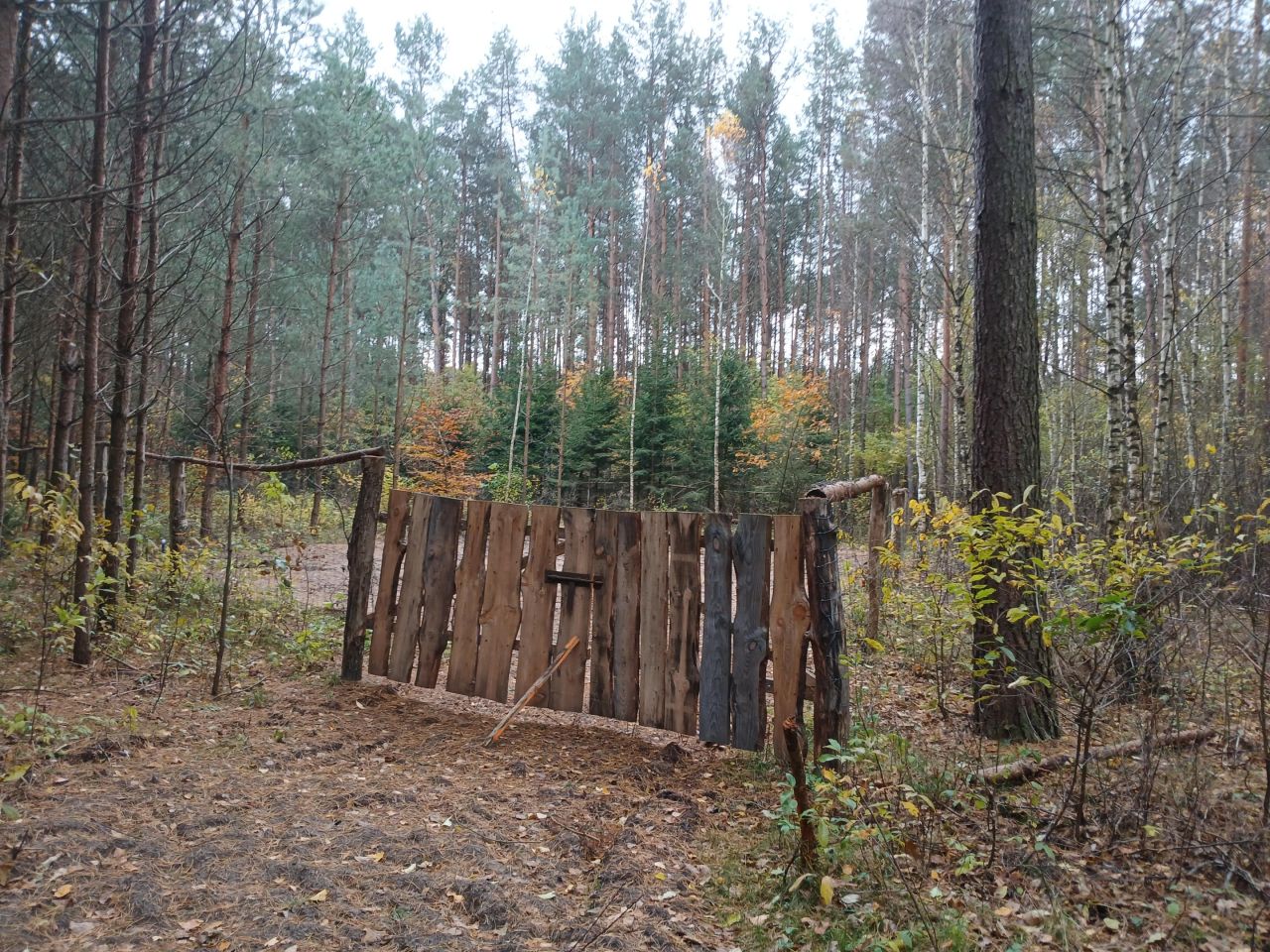 Działka leśna Jankowo-Młodzianowo