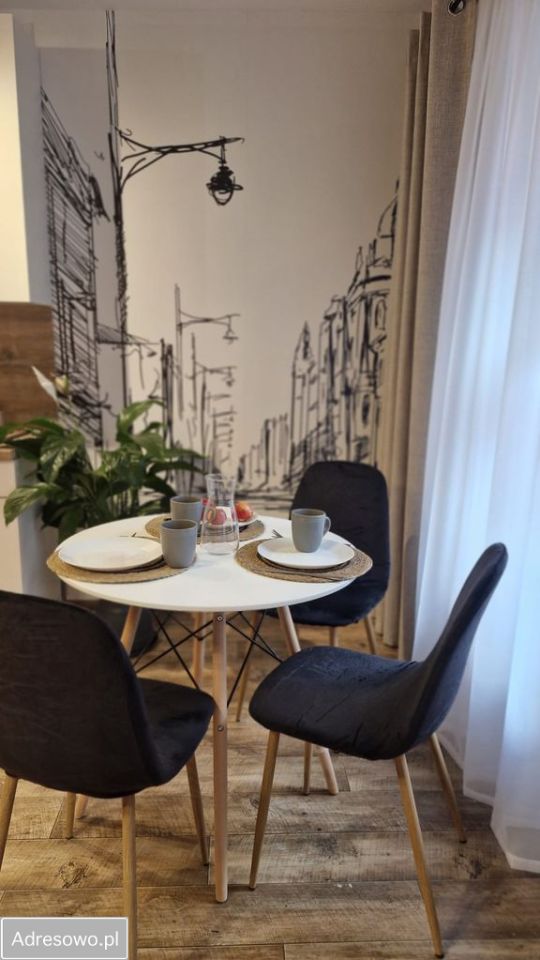 Mieszkanie 1-pokojowe Toruń Stare Miasto, ul. Królowej Jadwigi. Zdjęcie 3