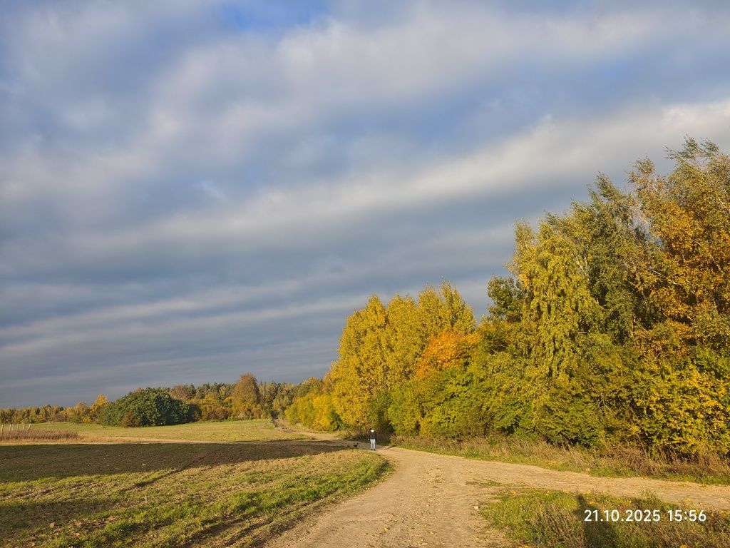 Mieszkanie 3-pokojowe Działdowo. Zdjęcie 7