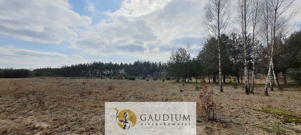 Działka budowlana Czersk, ul. Tucholska. Zdjęcie 17