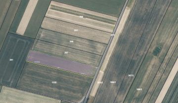 Działka rolna Gnojno