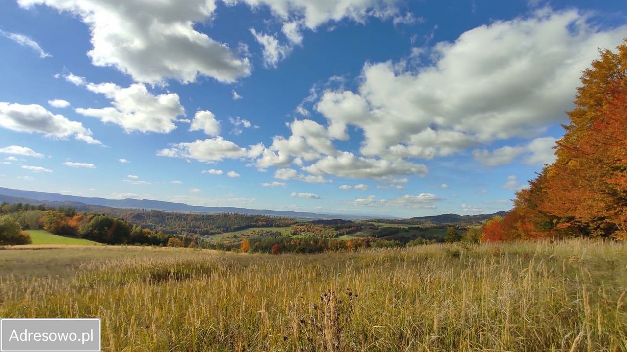 Działka budowlana Bieganów. Zdjęcie 8