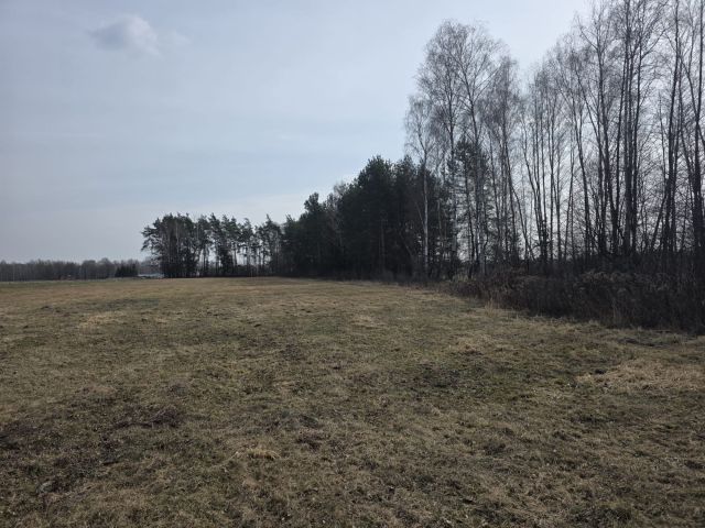 Działka budowlana Bojmie, ul. Lipowa. Zdjęcie 6