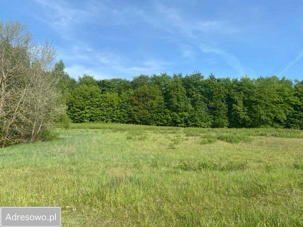Działka budowlana Częstocin. Zdjęcie 12