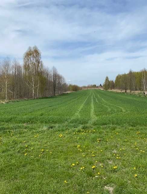 Działka rolno-budowlana Michałówek. Zdjęcie 2