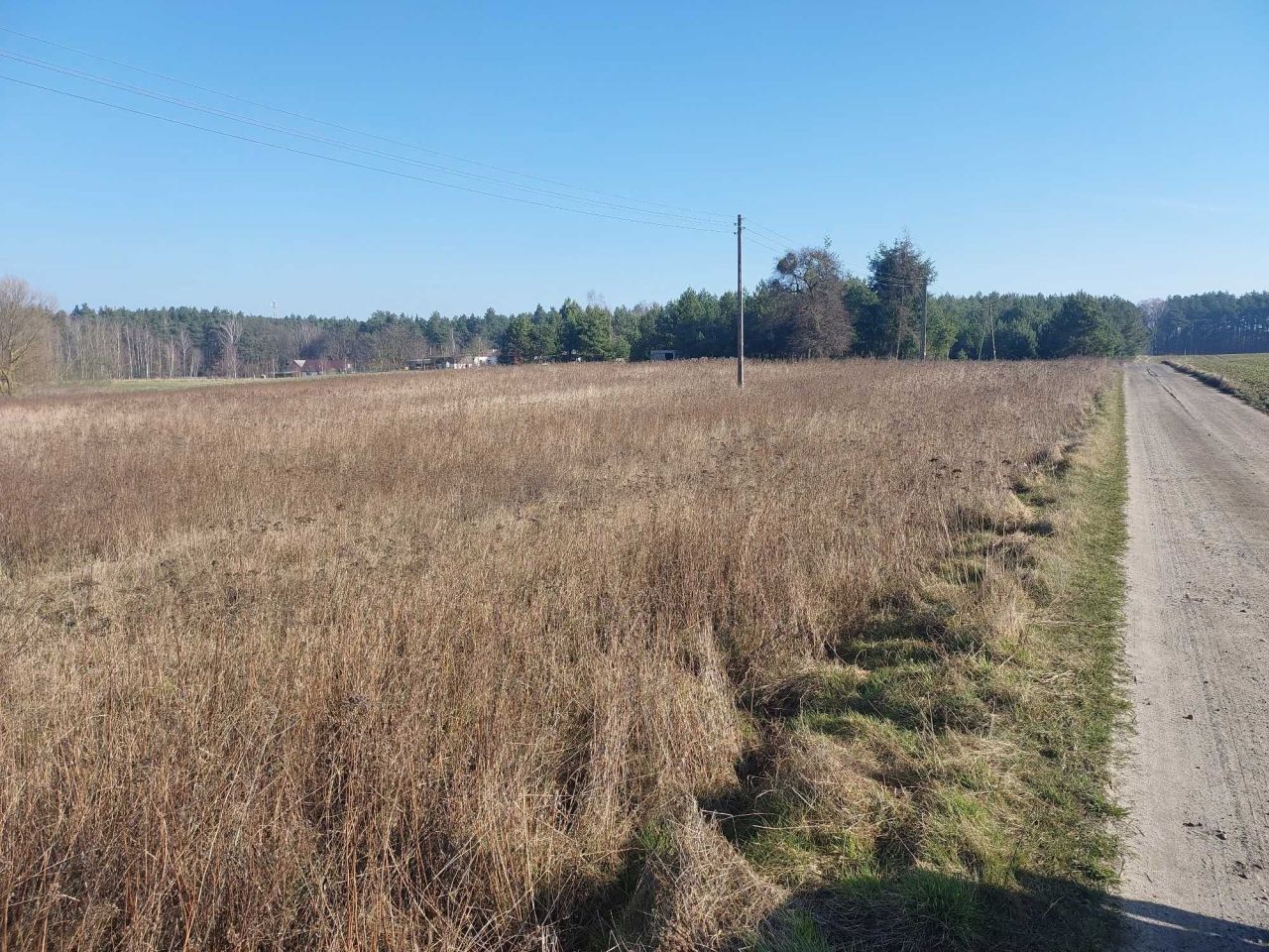 Działka rolno-budowlana Czersk Świecki. Zdjęcie 2