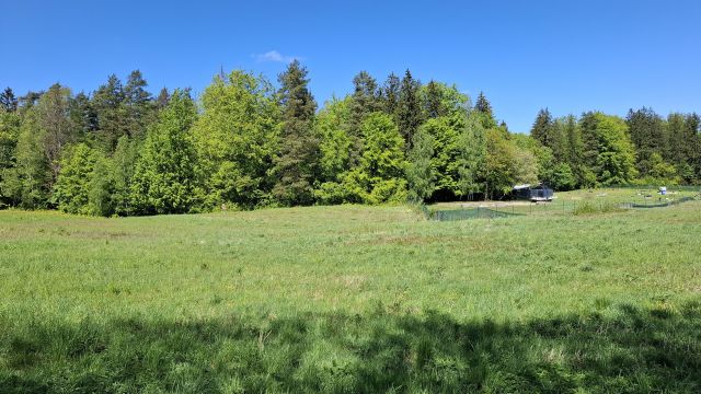 Działka rolna Cerkiewnik. Zdjęcie 1