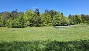 Działka rolna Cerkiewnik