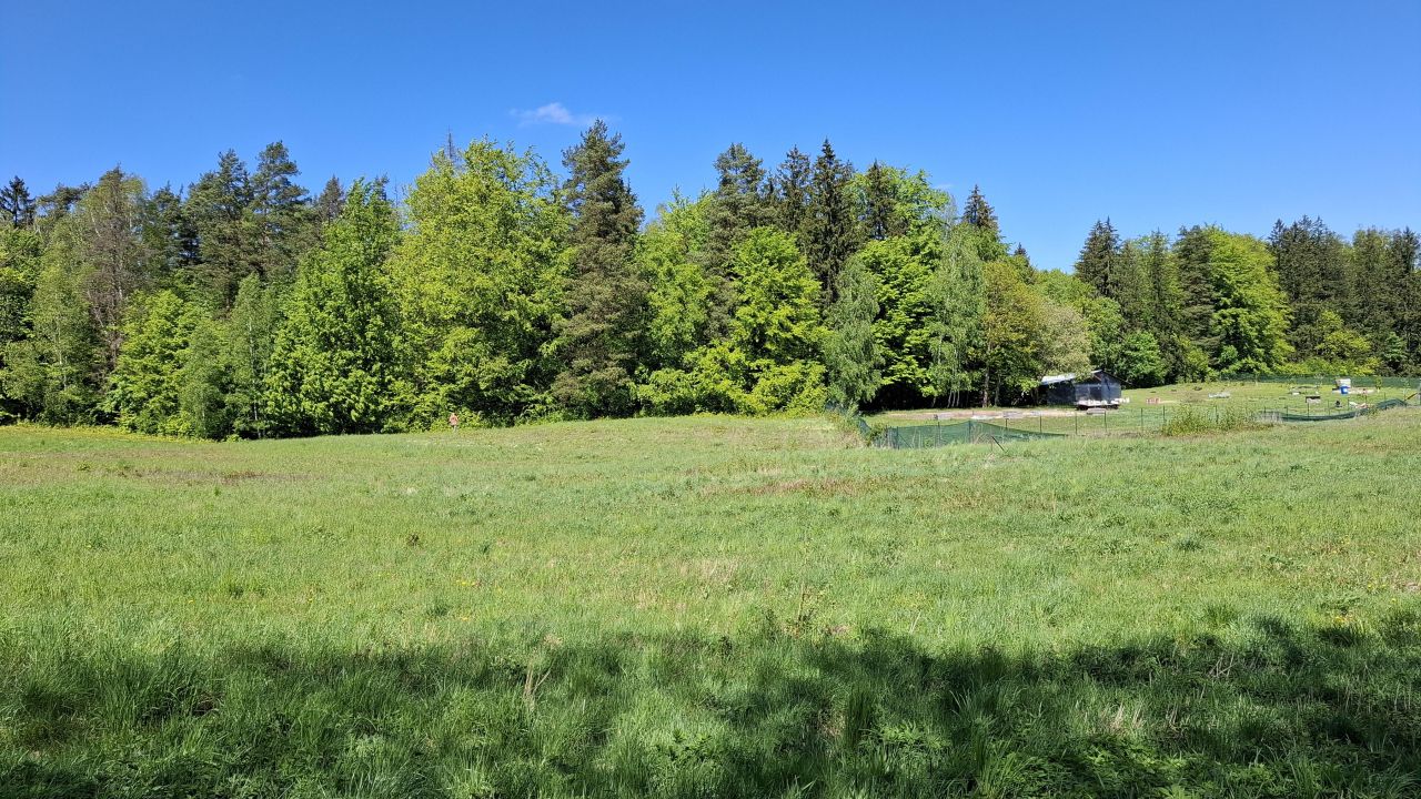 Działka rolna Cerkiewnik