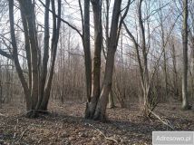 Działka rekreacyjna Wólka Nadrybska. Zdjęcie 1