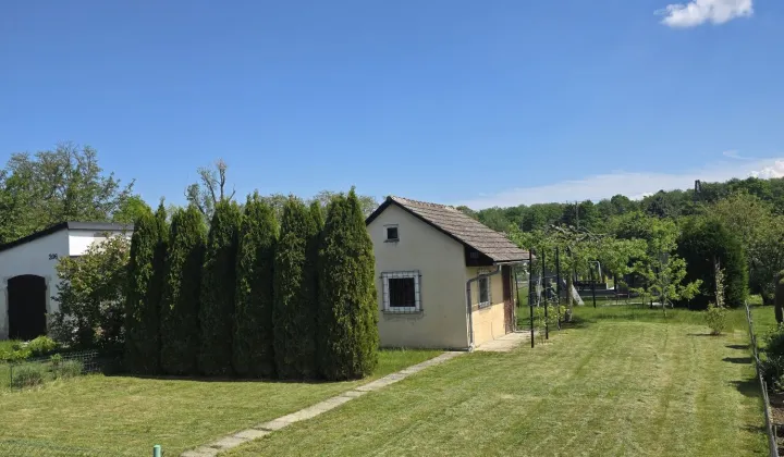 Działka rod Nysa, ul. Adama Mickiewicza