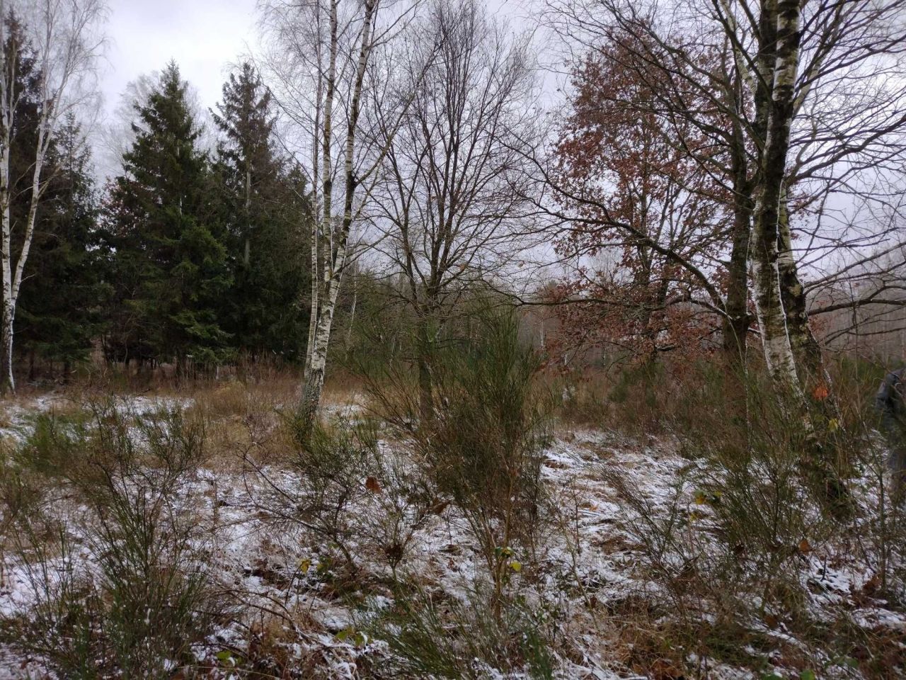 Działka rolna Ciemnik. Zdjęcie 8