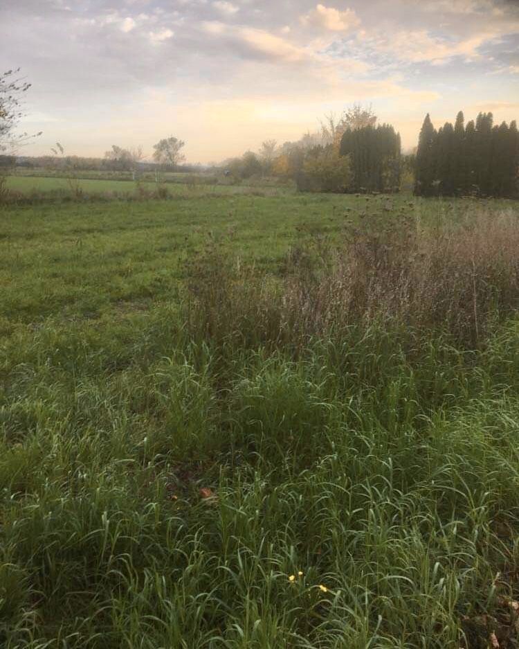 Działka budowlana Rogoźno, ul. Boguniewska. Zdjęcie 4
