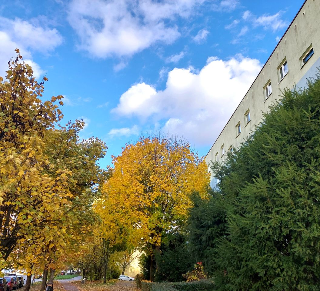 Mieszkanie 3-pokojowe Kielce Świętokrzyskie, ul. marsz. Józefa Piłsudskiego. Zdjęcie 11