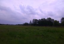 Działka budowlana Żenichów. Zdjęcie 1