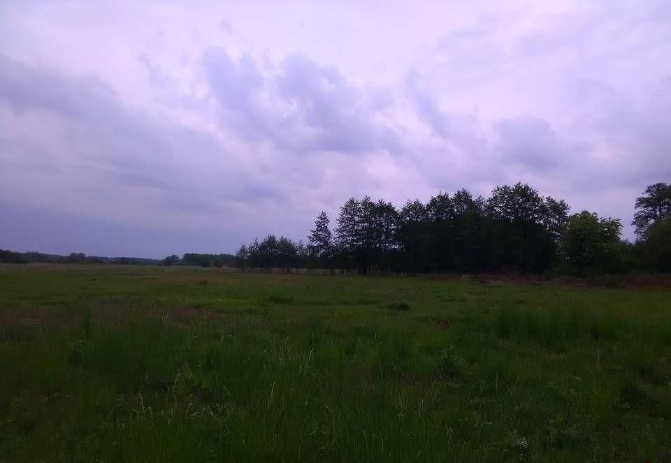 Działka budowlana Żenichów. Zdjęcie 2