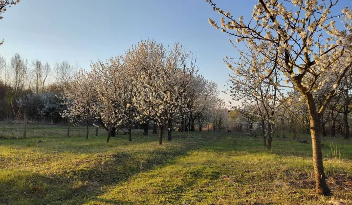 Działka budowlana Kraczewice Rządowe