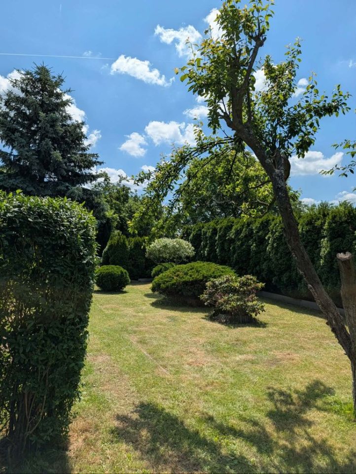 Działka rod Jelcz-Laskowice. Zdjęcie 7