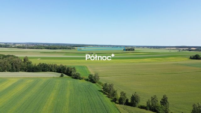 Działka rolna Parzyce. Zdjęcie 3
