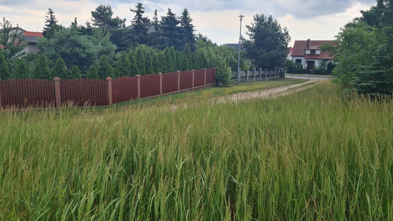 Działka budowlana Ślesin, ul. Ksawerego Dunikowskiego. Zdjęcie 4