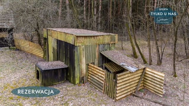 Działka leśna Kije. Zdjęcie 30