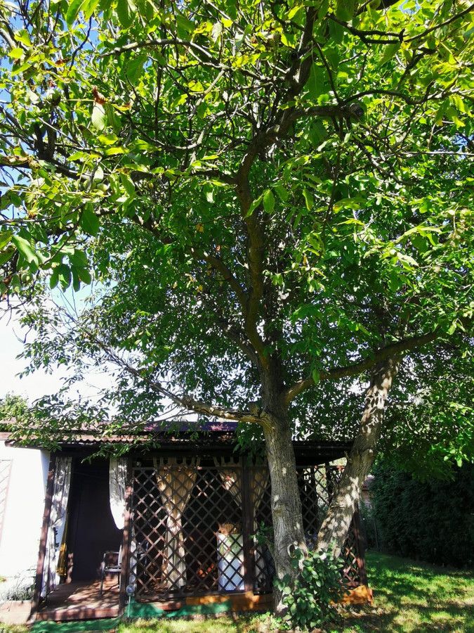 Działka rod Sosnowiec, ul. Portowa. Zdjęcie 5