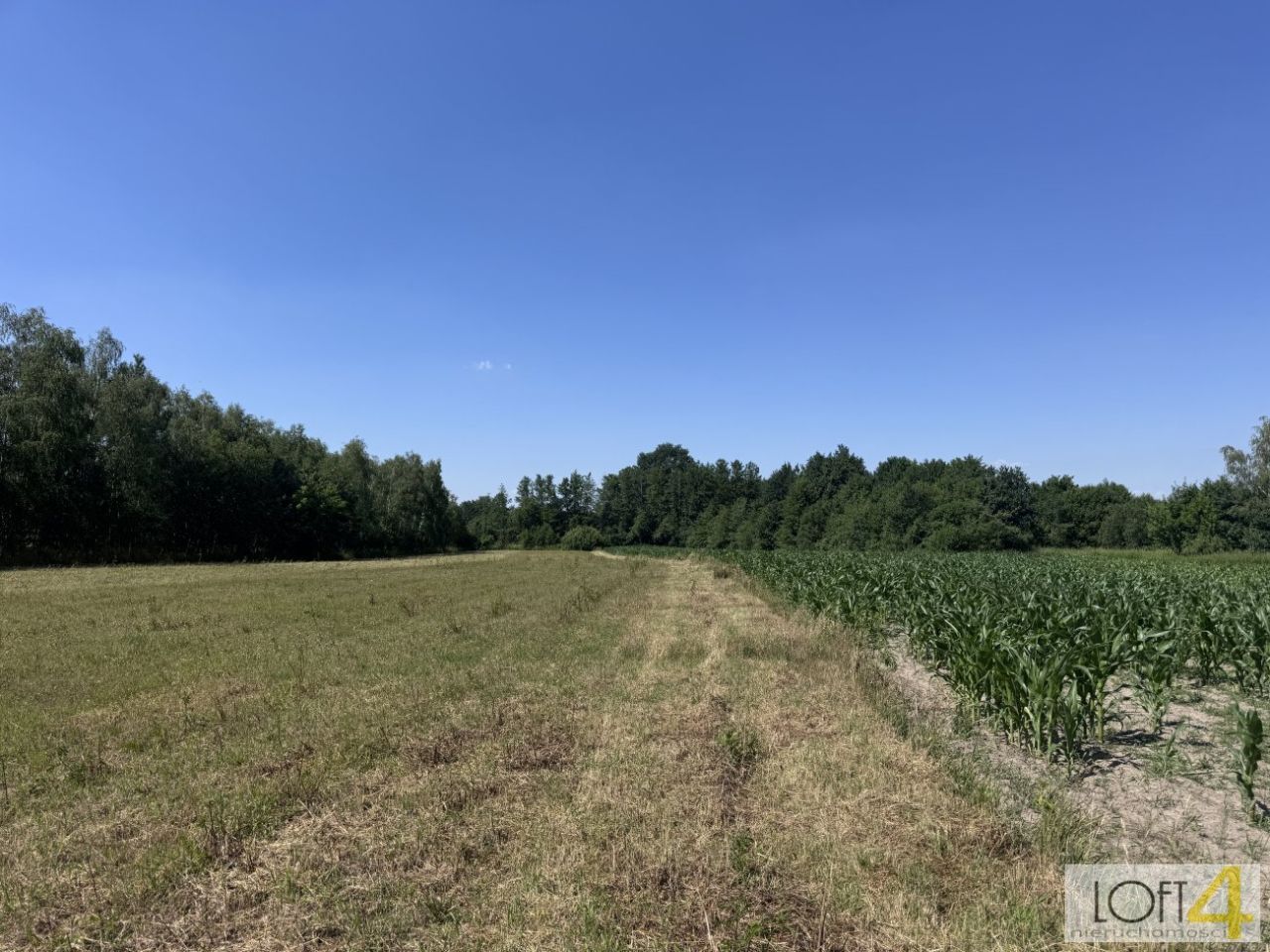 Działka budowlana Kupienin. Zdjęcie 8