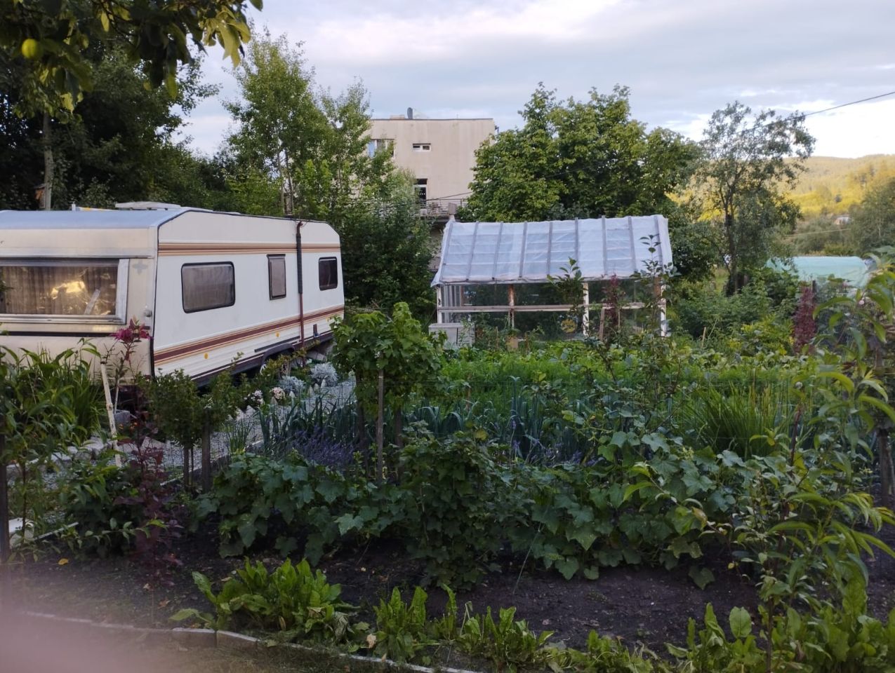 Mieszkanie 2-pokojowe Głuszyca, ul. Kolejowa. Zdjęcie 12