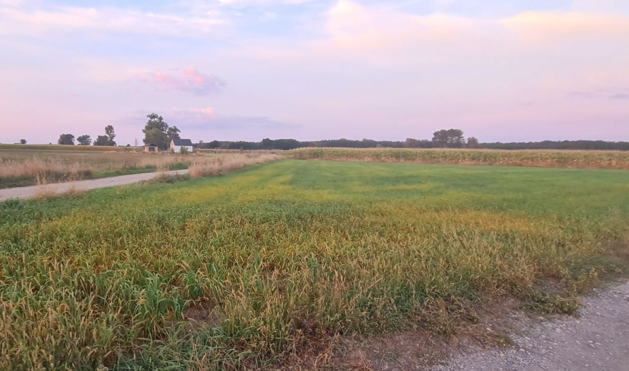 Działka budowlana Dębiczek